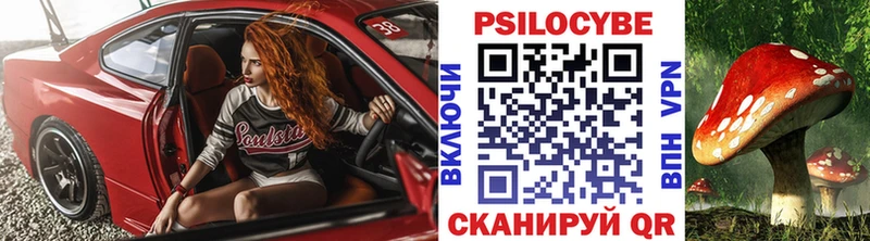 где купить наркотик  Бокситогорск  Галлюциногенные грибы GOLDEN TEACHER 